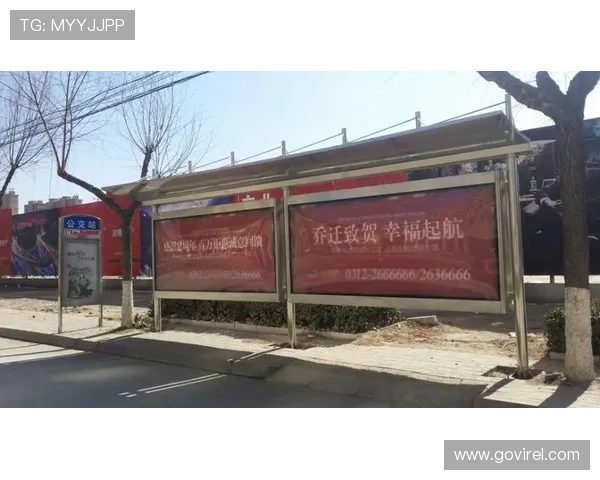 d88尊龙平台官网官方最新版本下载指南与安装步骤详解