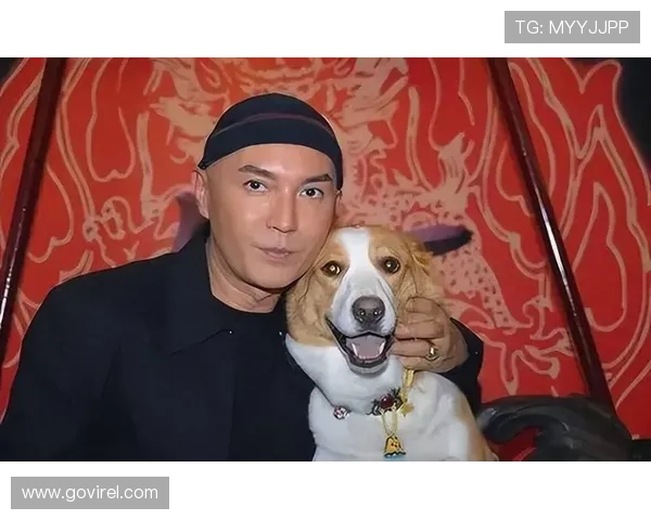 尊龙人生就是博：尊龙游戏平台的优惠活动与玩家获得更多实惠的策略